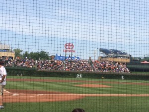 Dyneema Baseball Backstop Net