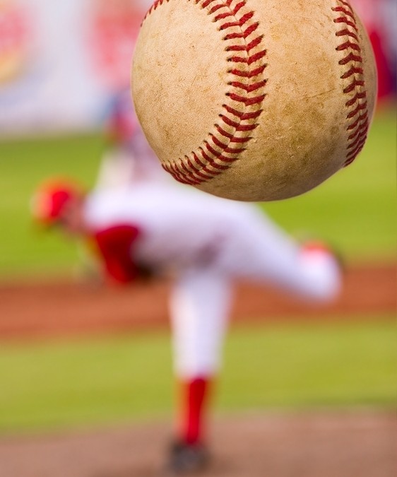 American Netting
